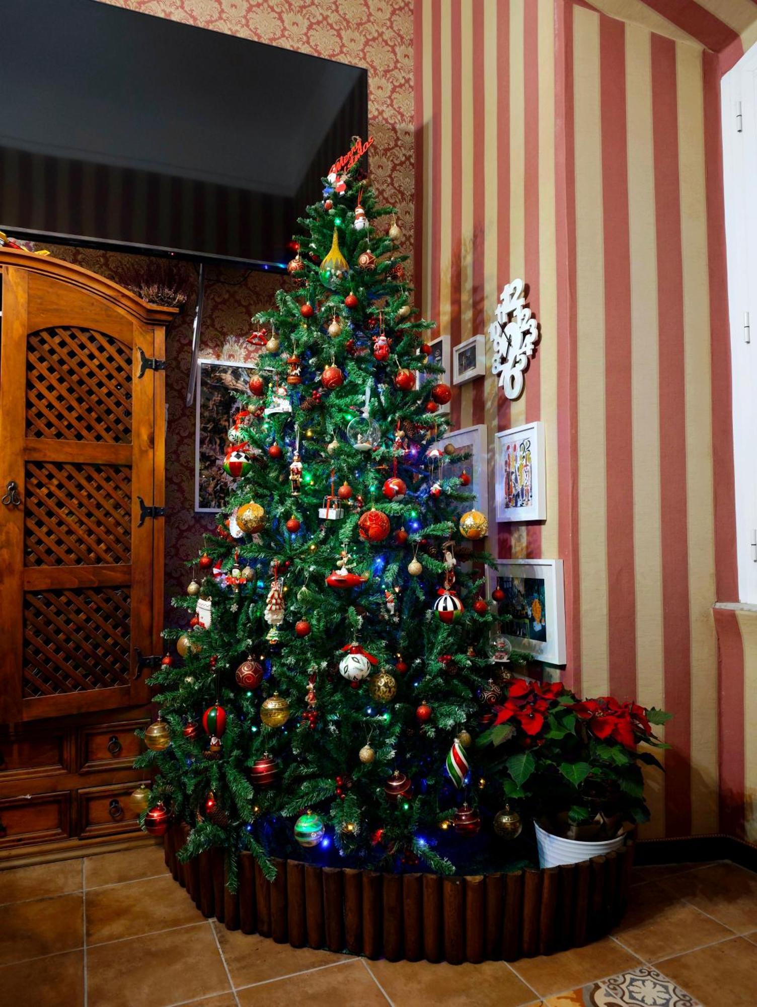Bed and Breakfast Da Augusto Roma Esterno foto